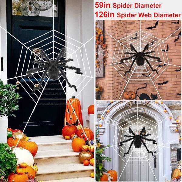 Halloween Decorated Spider Web with Giant Spider